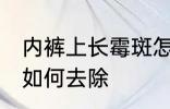 内裤上长霉斑怎么去除 内裤上长霉斑如何去除