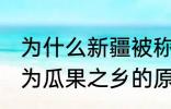 为什么新疆被称为瓜果之乡 新疆被称为瓜果之乡的原因