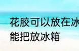 花胶可以放在冰箱冷藏室里吗 花胶不能把放冰箱