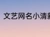 文艺网名小清新2个字 简短文艺昵称