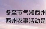 冬至节气湘西州农事活动 冬至节气湘西州农事活动是什么