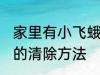 家里有小飞蛾怎么消灭 家里有小飞蛾的清除方法