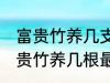 富贵竹养几支最旺运属蛇的 属蛇养富贵竹养几根最招财