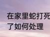 在家里蛇打死了怎么办 在家里蛇打死了如何处理