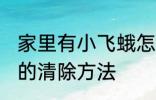 家里有小飞蛾怎么消灭 家里有小飞蛾的清除方法