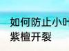 如何防止小叶紫檀开裂 怎样防止小叶紫檀开裂