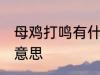 母鸡打鸣有什么坏兆头 母鸡打鸣什么意思