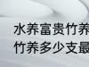 水养富贵竹养几支最旺运财 水养富贵竹养多少支最旺运财