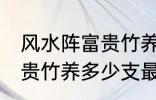 风水阵富贵竹养几支最旺运 风水阵富贵竹养多少支最旺运