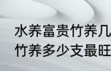 水养富贵竹养几支最旺运财 水养富贵竹养多少支最旺运财