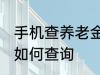 手机查养老金怎么查询 手机查养老金如何查询