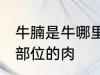 牛腩是牛哪里的肉 牛腩是牛身上哪个部位的肉