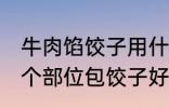 牛肉馅饺子用什么部位的牛肉 牛肉那个部位包饺子好吃