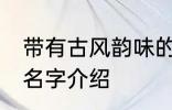 带有古风韵味的名字 带有古风韵味的名字介绍