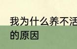 我为什么养不活杜鹃花 养不活杜鹃花的原因