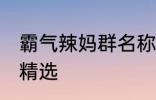 霸气辣妈群名称大全 霸气辣妈群名称精选