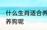 什么生肖适合养狗 到底哪些生肖适合养狗呢