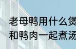 老母鸭用什么煲汤最好 哪些食物可以和鸭肉一起煮汤